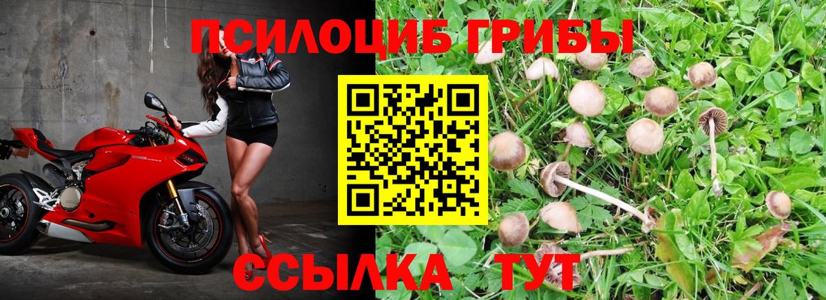 Янаул  Псилоцибиновые грибы ЛСД  Вход с VPN 