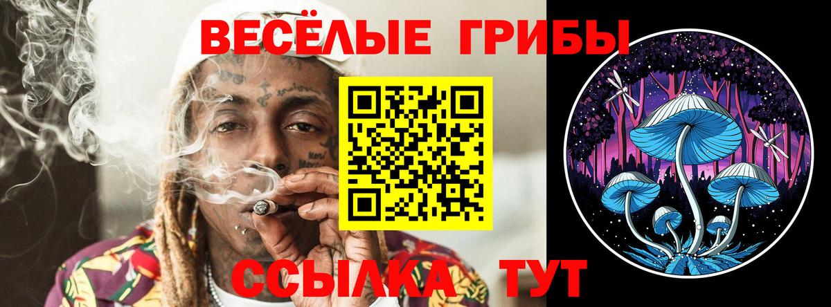 Галлюциногенные грибы прущие грибы Янаул